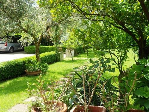 Villa Scimmia Scauri  Luaran gambar